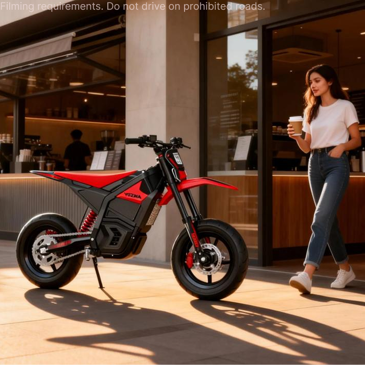 Set de pneus de rue pour moto électrique tout-terrain Yozma (avant et arrière) – IN 10 uniquement