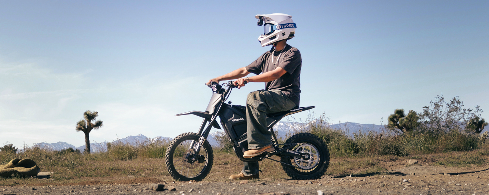 MVI_7239-2_1